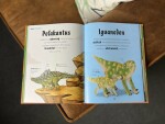 Usínáme s dinosaury a dalšími prehistorickými tvory - autorů kolektiv