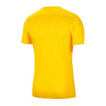 Dětský tréninkový dress Jr BV6741-719 žlutý - Nike 122-128