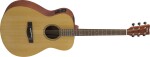 Yamaha FSX400 Natural