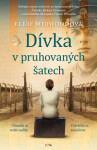 Dívka v pruhovaných šatech - Ellie Midwoodová - e-kniha