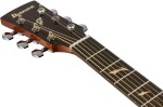 Ibanez PC34CE NT