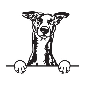Whippet 2 dřevěná dekorace na zeď Rozměr (cm): 38 x 26