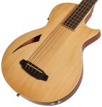 ESP LTD TL-5 NAT