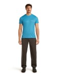 ICEBREAKER Mens Mer 150 Tech Lite SS Tee IB Wordmark, Arctic velikost: XL