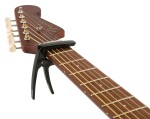 Fender Laurel Acoustic Guitar Capo