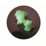 PlayFoam® Boule