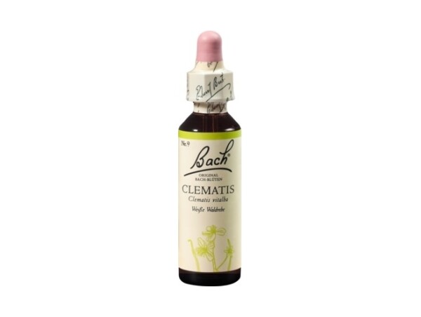 Bílá lesní réva (Clematis) 20 ml - Bachovy esence Dr.Bach