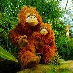 Orangutan mládětem cm ECO-FRIENDLY