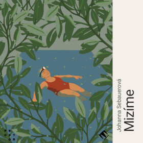 Mizíme - Johanna Sebauerová