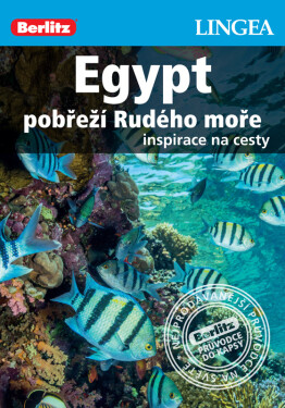 Egypt pobřeží Rudého moře - kolektiv autorů