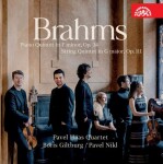 Brahms: Kvintety - CD - Kolektiv autorů