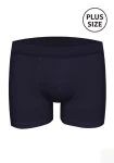 Pánské boxerky John Frank JFBMODNAPLS100 FNT159813