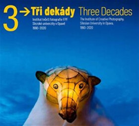 Tři dekády Vladimír Birgus