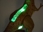 Mamido Dinosaurus na dálkové ovládání R/C s efekty hnědý