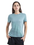 ICEBREAKER Wmns Merino Core SS Tee Plume, Cloud Ray velikost: XS