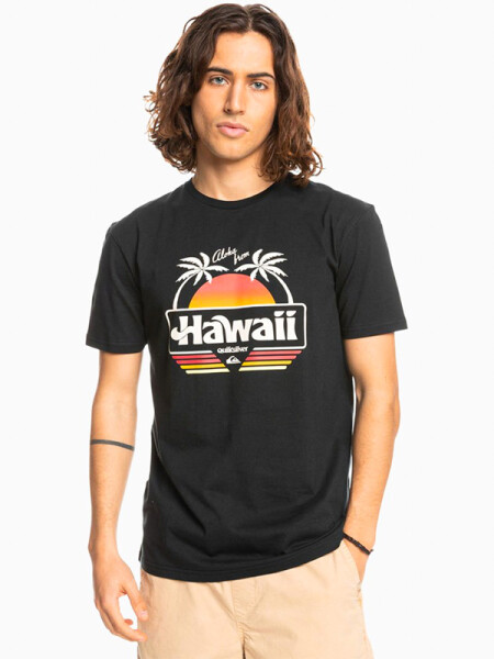 Quiksilver ALOHA black pánské tričko krátkým rukávem