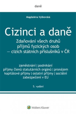 Cizinci daně