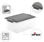 ROTHO úložný box COMPACT 70L - šedá