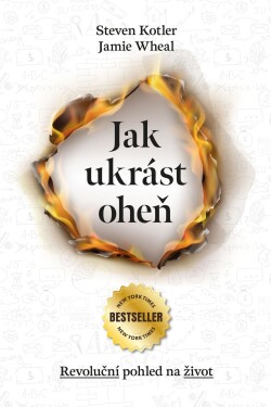 Jak ukrást oheň Steven Kotler