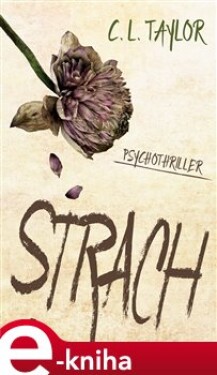Strach - C. L. Taylor e-kniha