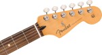 Fender Player II Stratocaster RW 3TS