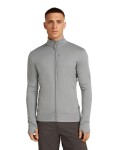 ICEBREAKER Mens 260 Quantum IV LS Zip, Alloy (vzorek) velikost: M