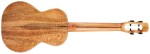 Flight Fireball Tenor EQ-A