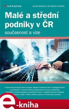 Malé a střední podniky v ČR – současnost a vize - Jarmila Straková e-kniha