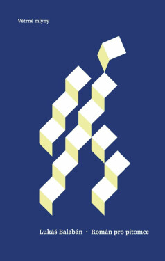 Román pro pitomce - Lukáš Balabán