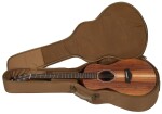 Taylor GS Mini-e Koa