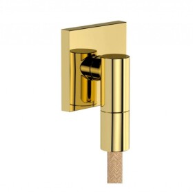 HANSGROHE - FixFit Fine E Nástěnné kolínko, leštěný vzhled zlata 28883990