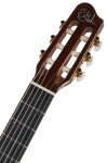 Godin Arena Pro CW Bourbon Burst EQ