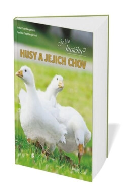 Husy a jejich chov - Iveta Prombergerová