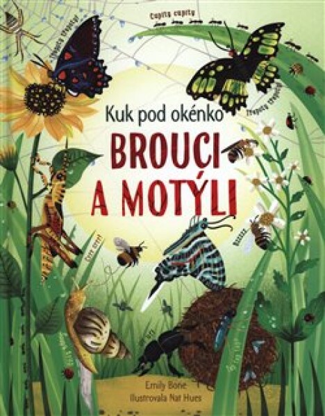 Brouci motýli Kuk pod okénko Emily Bone