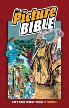 Picture Bible - Iva Hothová