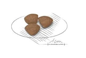 Royal Canin Mini Puppy 800 g