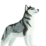 Safari Ltd. Safari Ltd. Figurka - Sibiřský husky