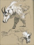 Faber-Castell Umělecký popisovač Pitt Artist Pen Black & White sada 4 ks - bílé a černý
