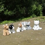 Plyšová kočka 11 cm sedící ECO-FRIENDLY, 6 druhů