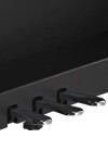 Gewa DP510 black