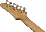 Ibanez AZ41P1EW NGT