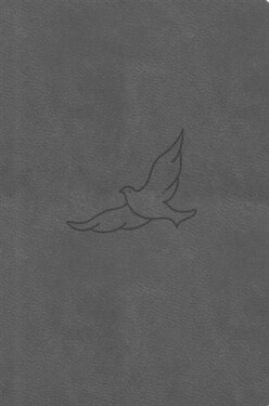 Bible21 – kapesní