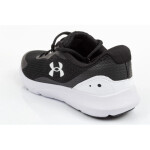 Dámské oblečení Under Armour 3024989-001