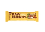 Bombus Raw Energy 50 g peanuts dates (09028)
