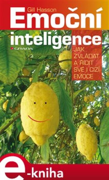 Emoční inteligence. Jak zvládat a řídit své i cizí emoce - Gill Hasson e-kniha