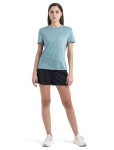 ICEBREAKER Wmns Merino Core SS Tee Plume, Cloud Ray velikost: XS
