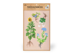 Nažehlovačka L 001 - Byliny