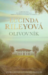 Olivovník Lucinda