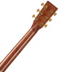 Tanglewood TW1000 H SRCE (rozbalené)