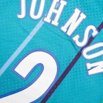 Mitchell & Ness Pánský dres Charlotte Hornets NBA Larry Johnson #2 1992-93 Swingman Velikost: L